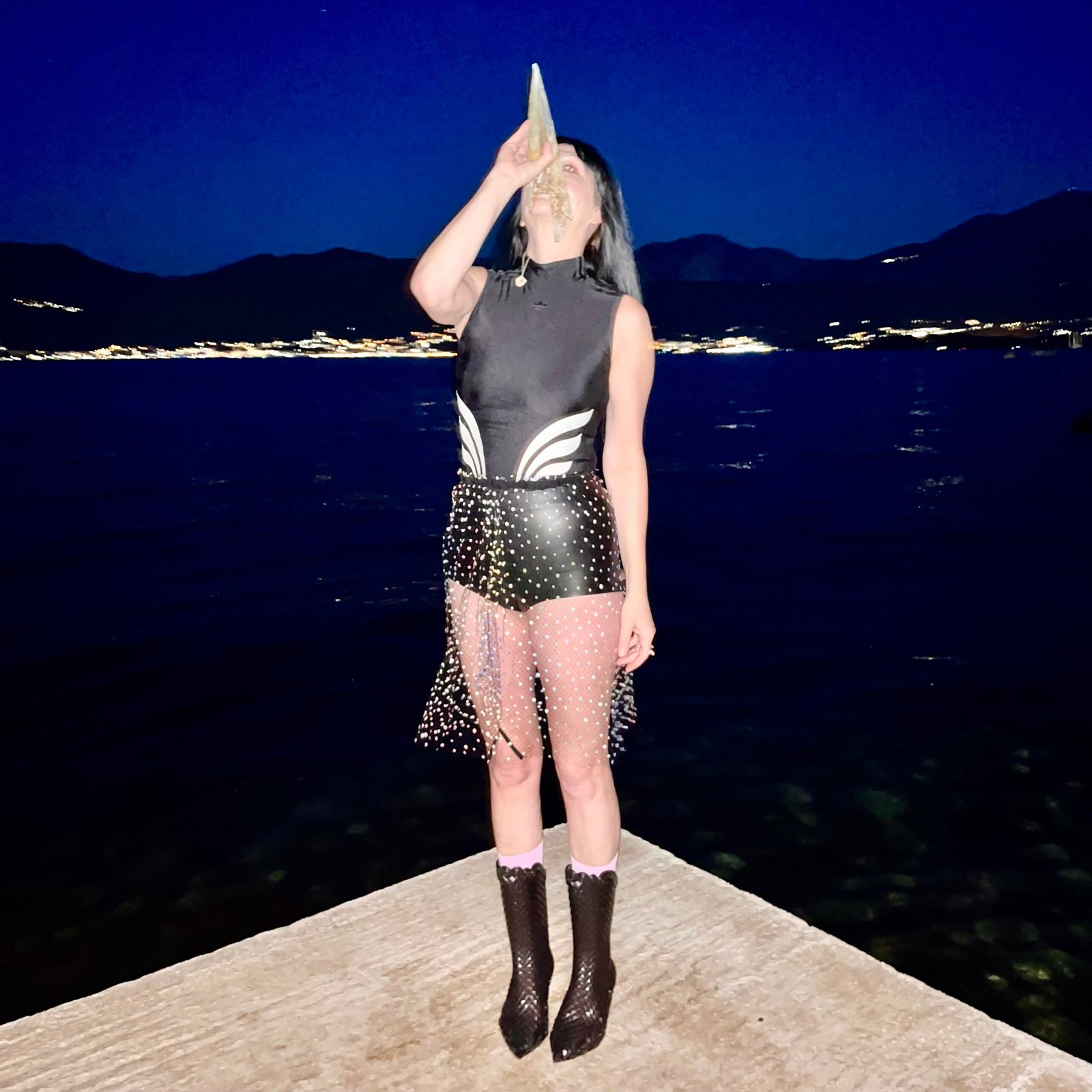 Aleksandra Durman - Essence Painting A Swan (2025) Image-3